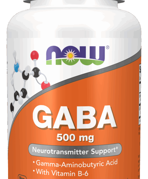 NOW Foods GABA 500mg 100 VCAPS