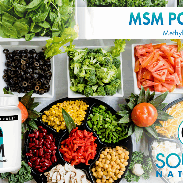 Source Naturals MSM