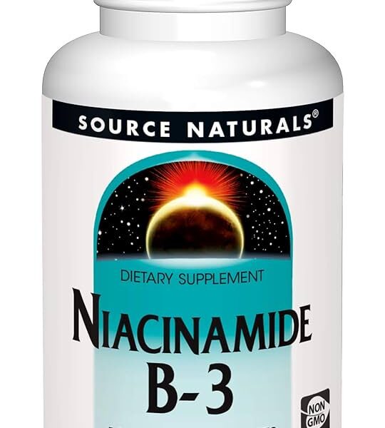Source Naturals Niacinamide B-3 100 mg